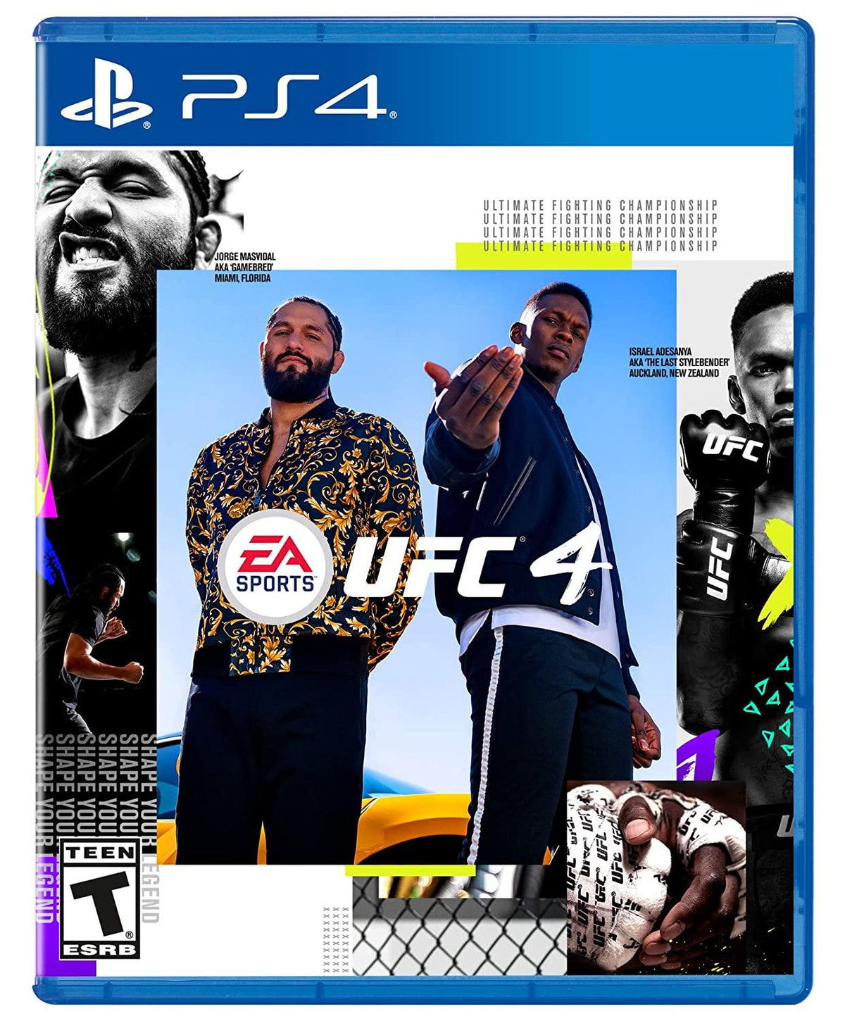 Figarden - Blue Shell Gaming - UFC 4 - Video Game - Playstation 4