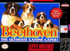 Beethoven - Super Nintendo